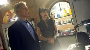 Морская полиция: Спецотдел 13 сезон 6 серия — кадр